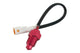 Temperature Sensor Koso M12x1.5 0 - 250 °C (white plug) Piaggio / Gilera Euro4